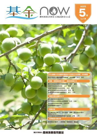 基金now vol.18（表紙）